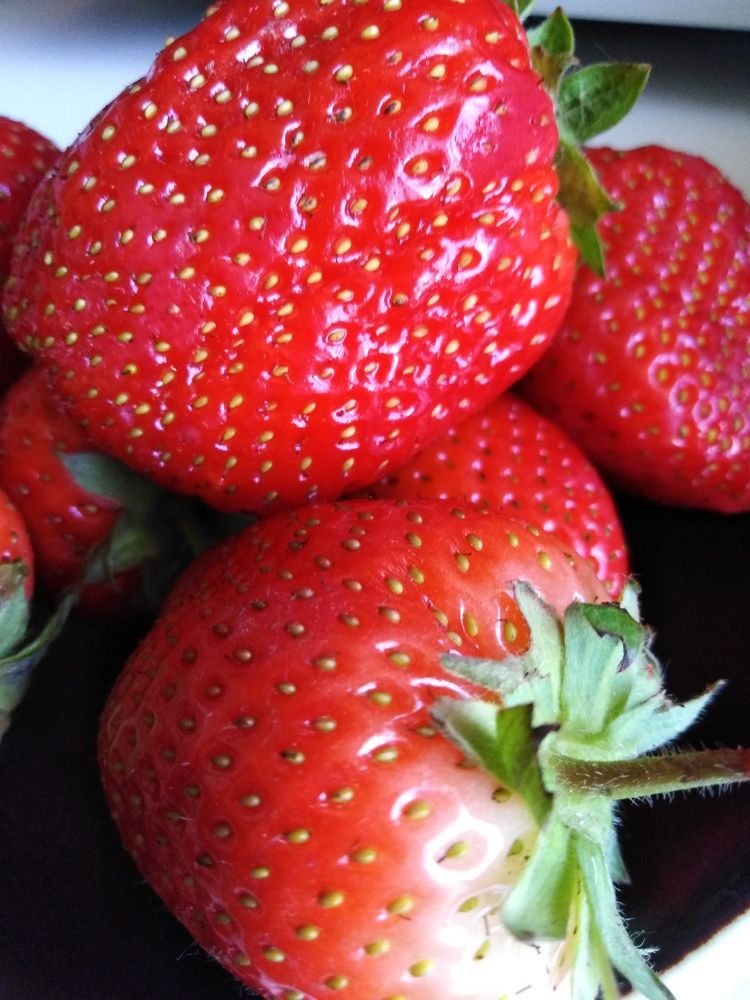 Photograph by Нелли Золотая