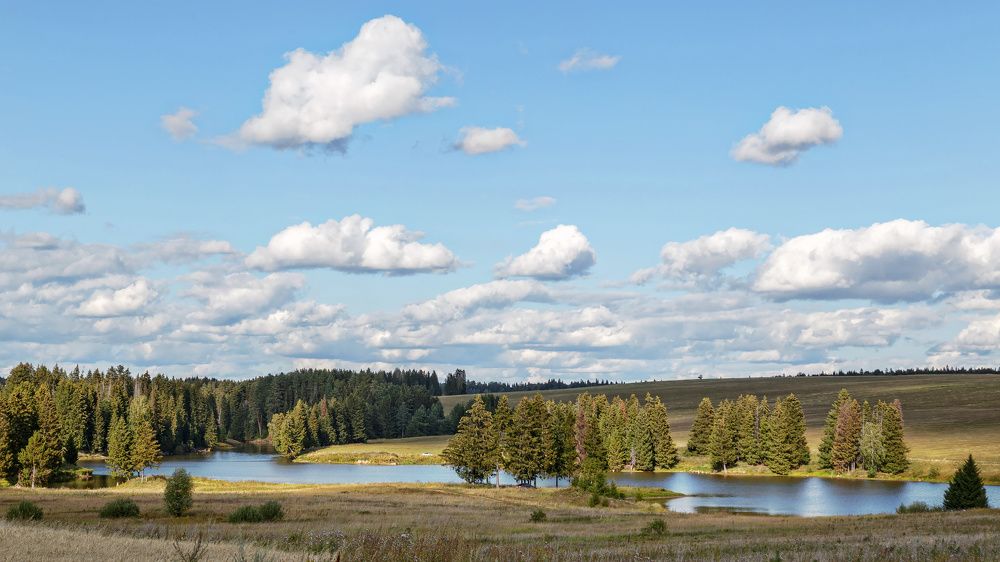 Небольшая река в лучах солнца