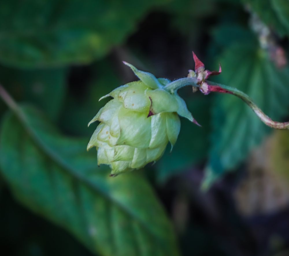 Photograph by Денис Геранькин