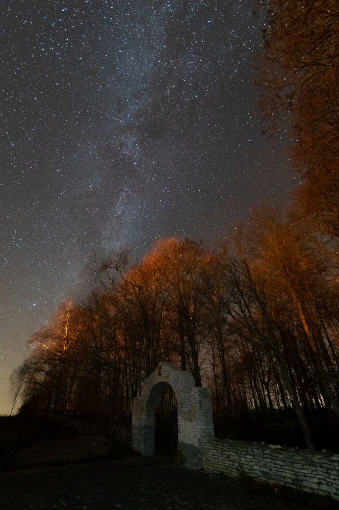 Photograph by Roman Dmitriev