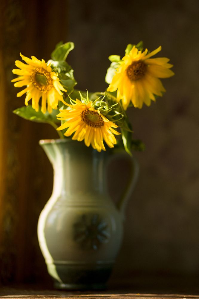 Photograph by Татьяна Бушук