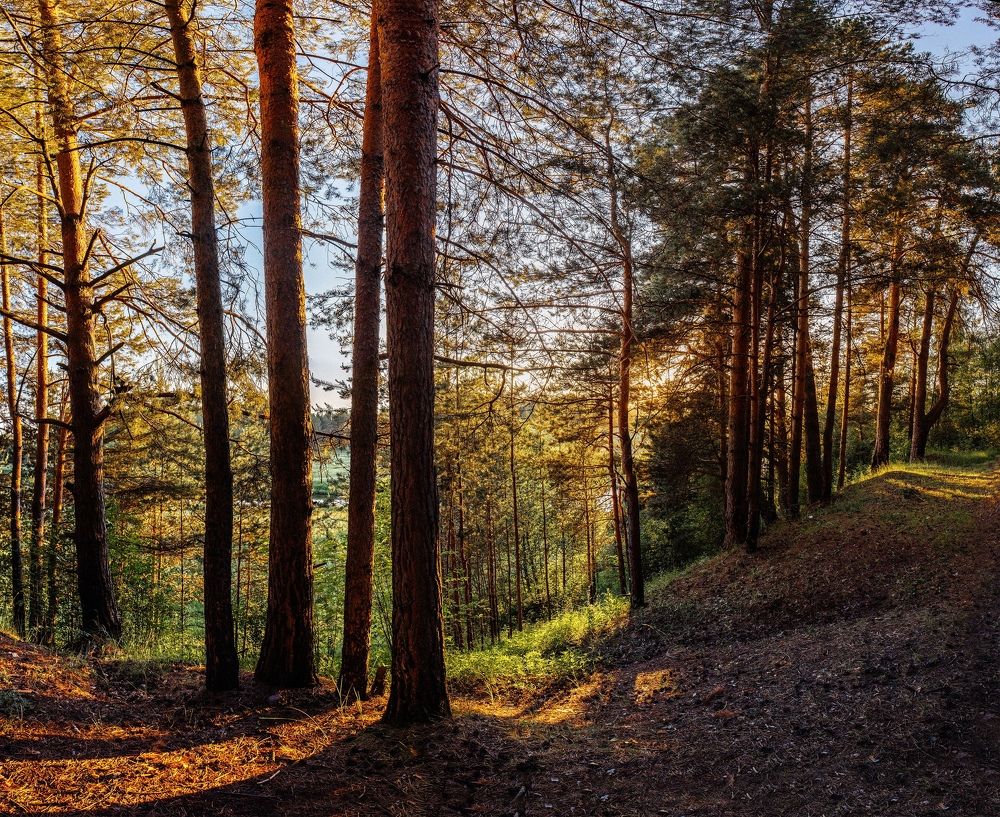 Photograph by Воробьёв Евгений