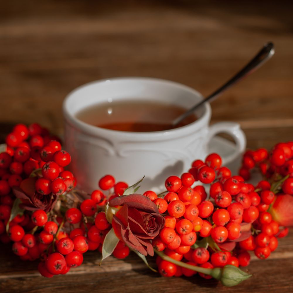 Photograph by Nadezhda Olefe