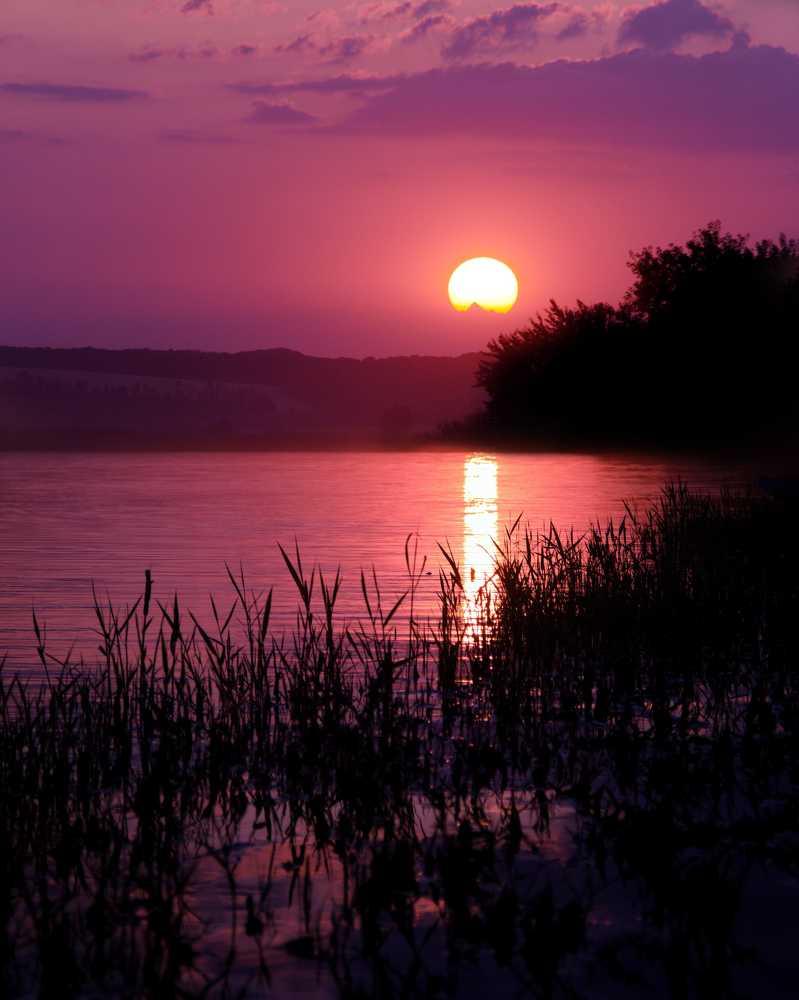 Photograph by Владислава Сімонова