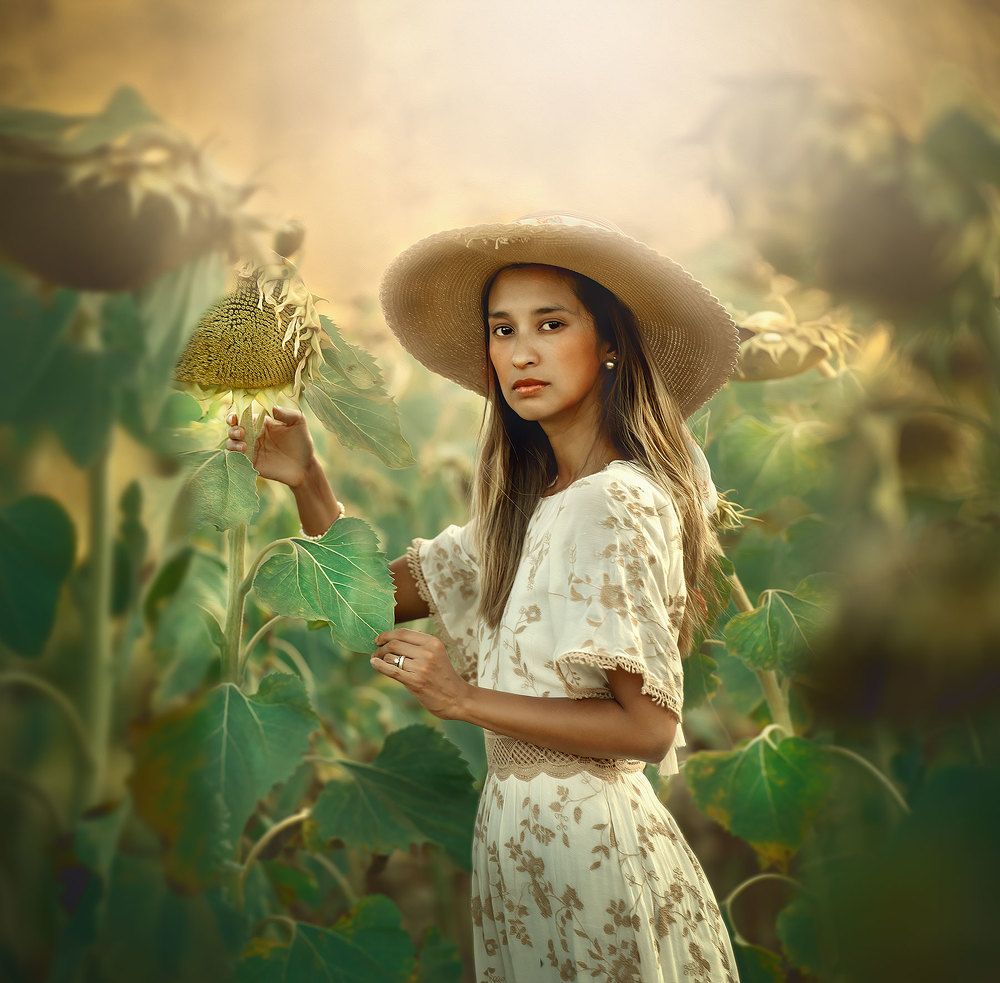 In the field of sunflowers