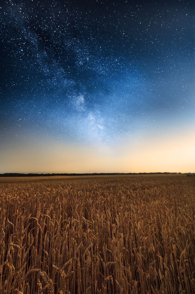 Photograph by Антон Харченко