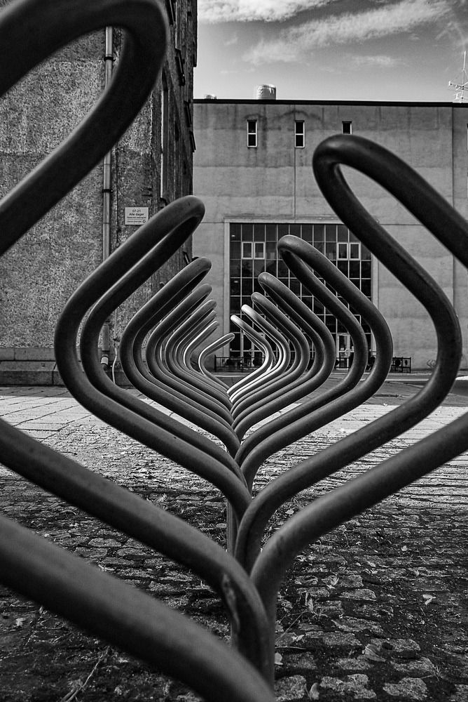 Photograph by Svetlana Davydova