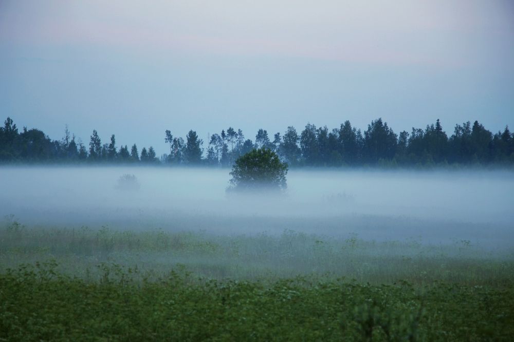 Photograph by Aleks Stolz