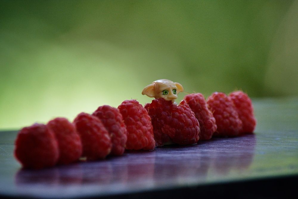 Photograph by Максим Ушенин