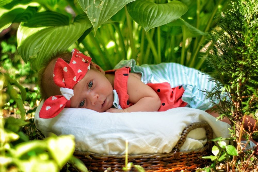 Photograph by Максим Ушенин