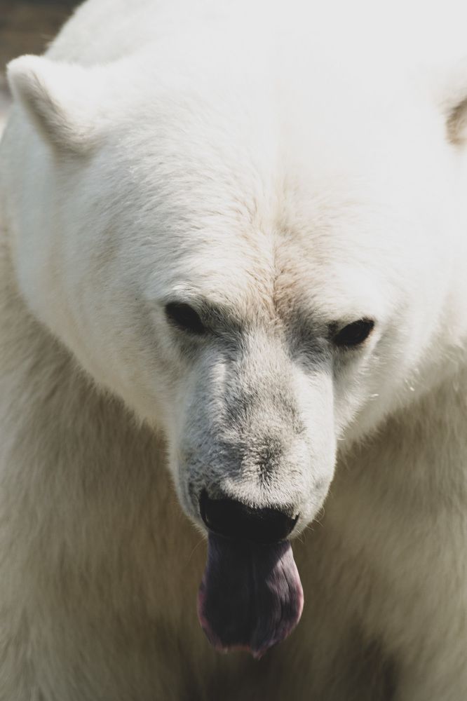 Photograph by Ольга Кашлева