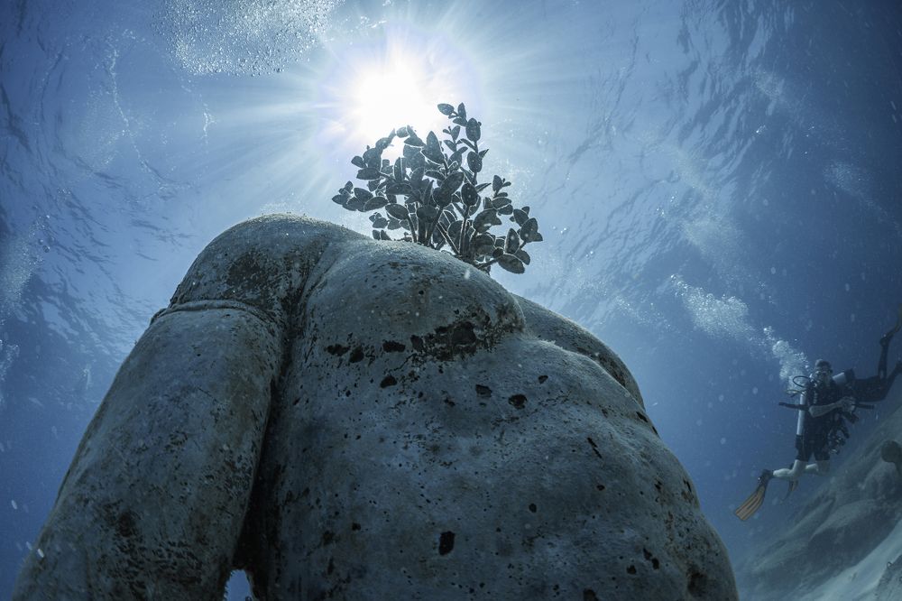 Museum of Underwater Sculpture
