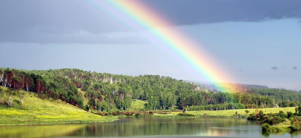 Летние краски