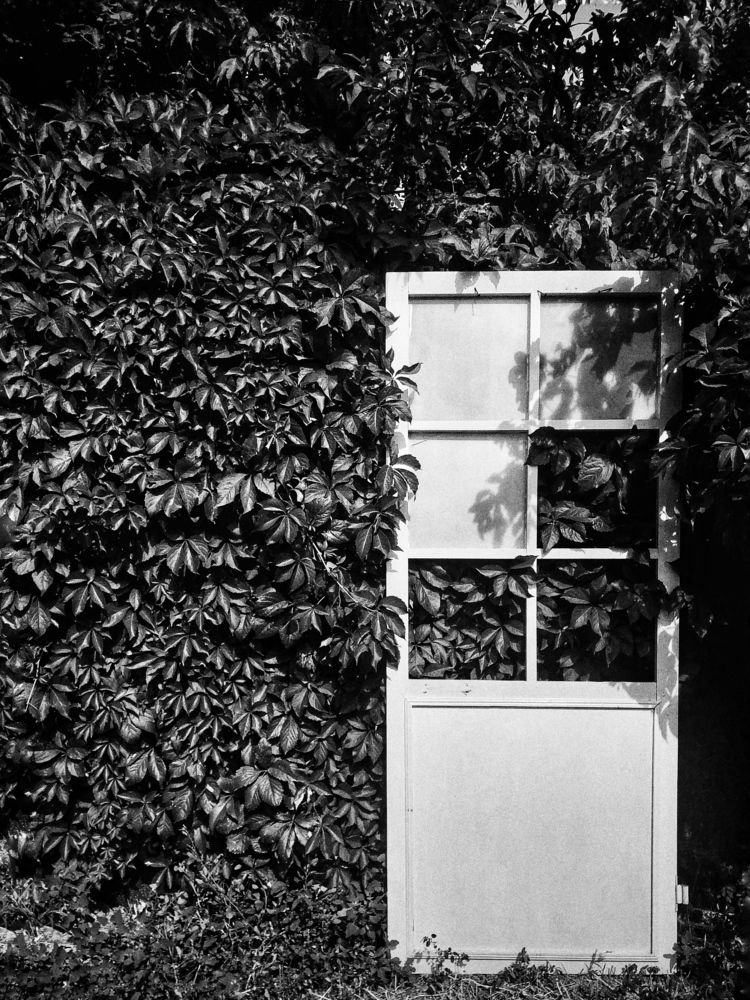 Photograph by Вероника Подветельнова