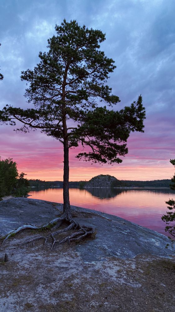 огненный закат