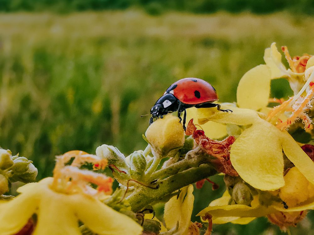 Photograph by Сергей Таранов