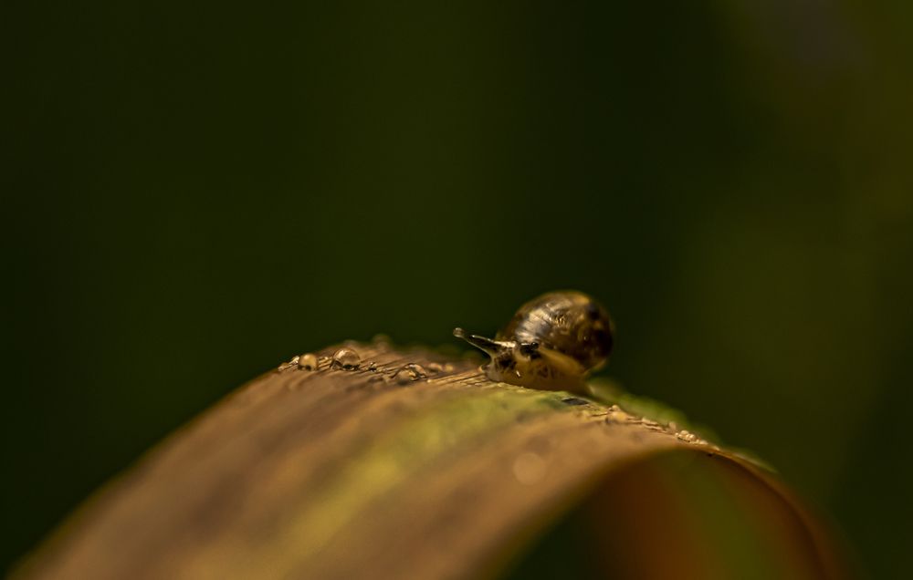 Photograph by Юлия Куликова