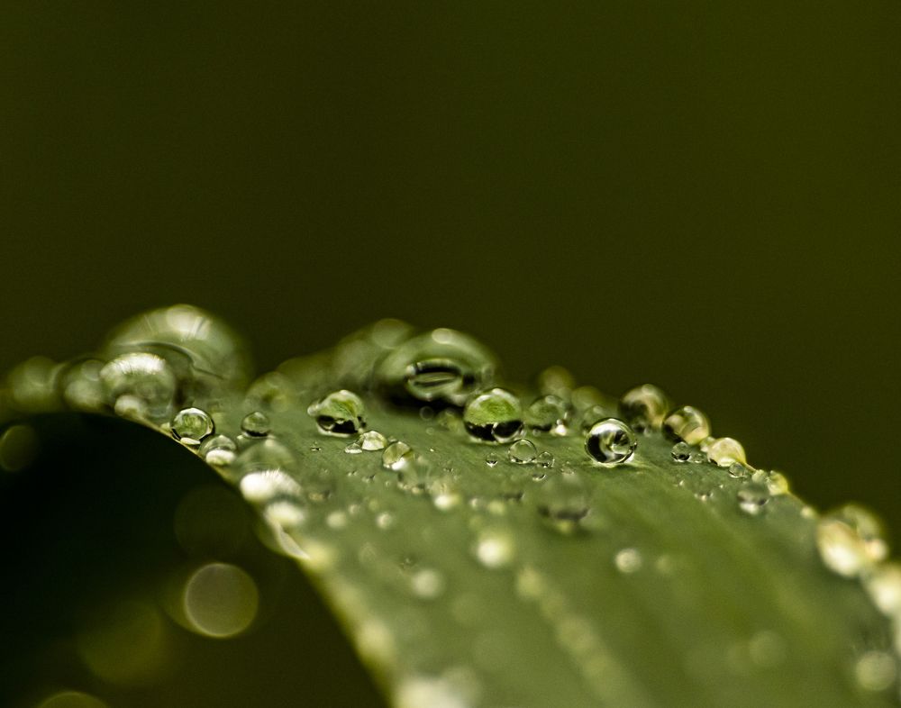Photograph by Юлия Куликова
