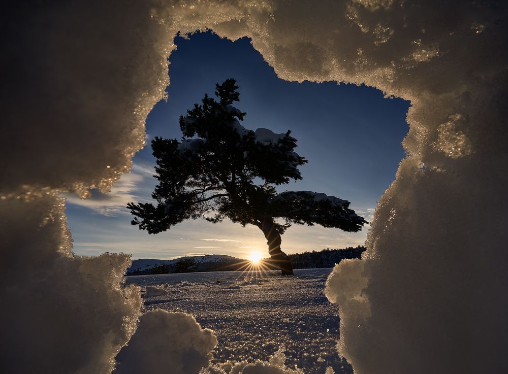 Photograph by Oscar Lata