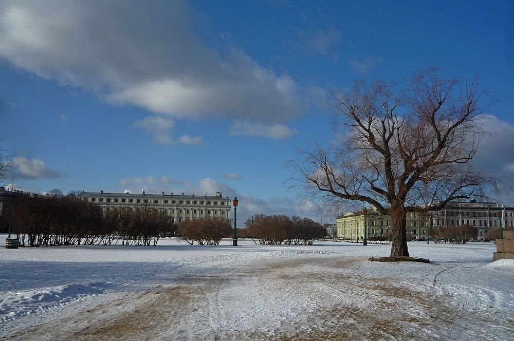 Photograph by Людмила Викулова