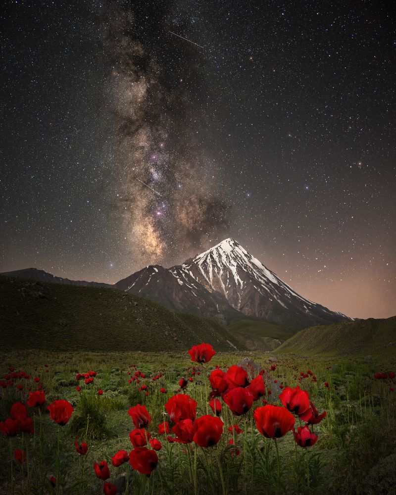 Photograph by Hamed Qane