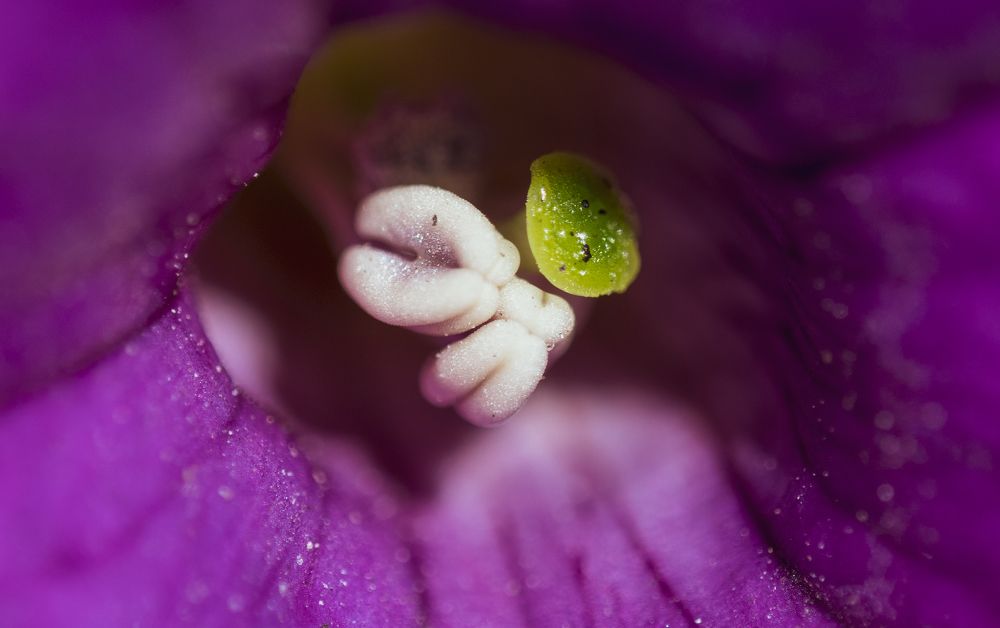 Photograph by Антон Жмойдяк