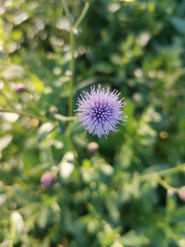 Photograph by Анастасия Проскурнова
