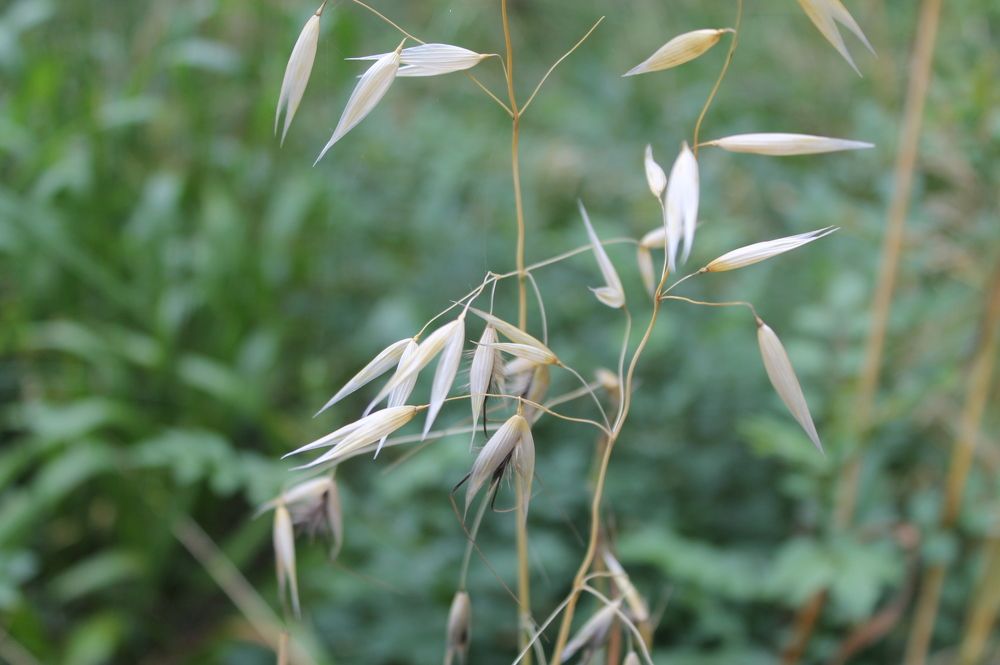 Photograph by Анастасия Проскурнова