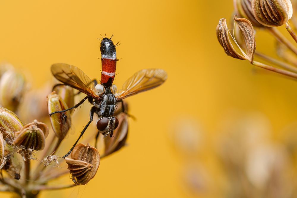 Photograph by Виталий Бодрягин