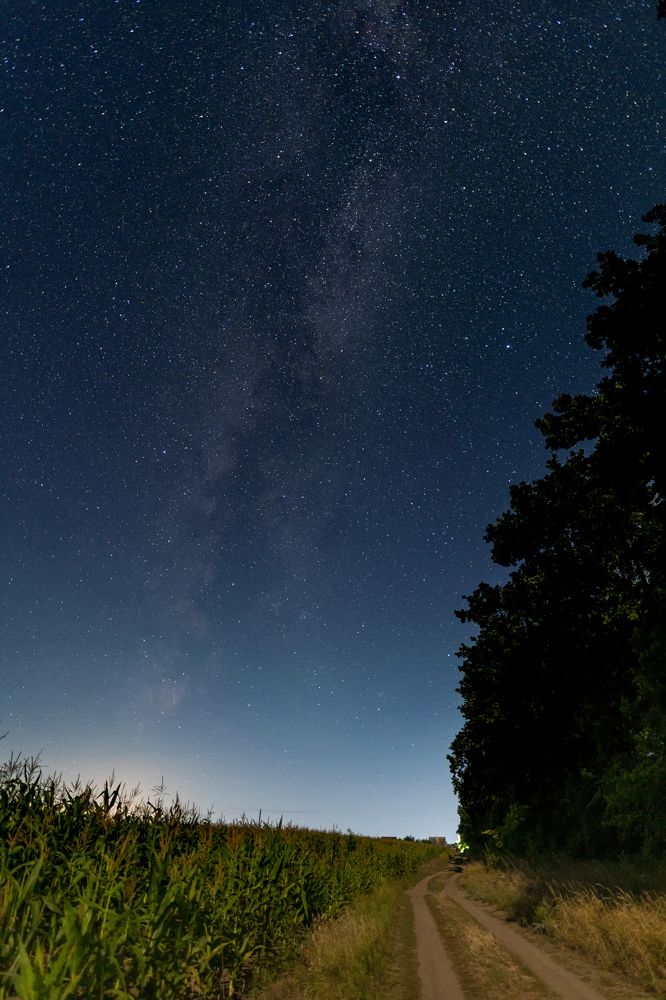 Photograph by Алексей Мазниченко