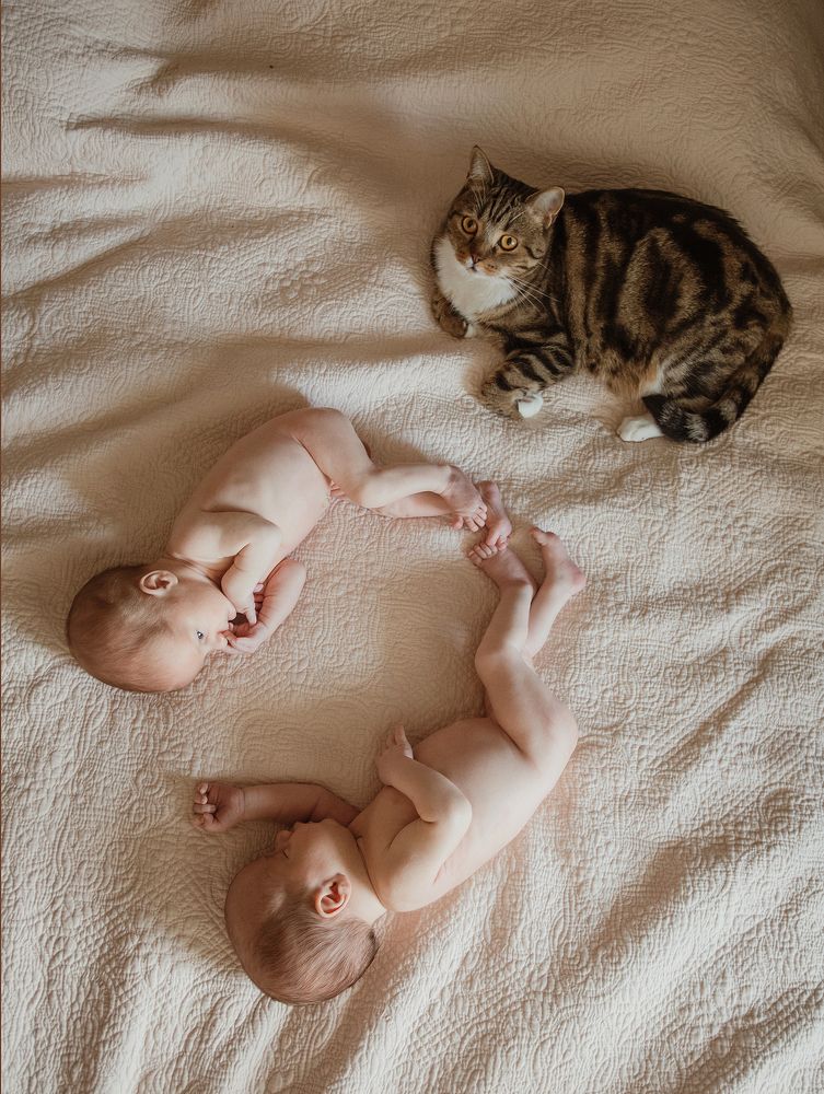 Photograph by Елена Тульчинская