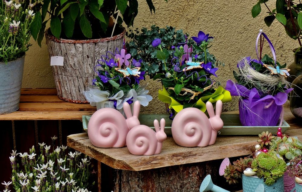 Photograph by backareva irina