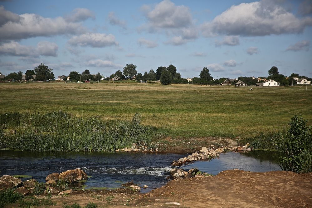 Фотография автора Наталья Васько -Черданцева