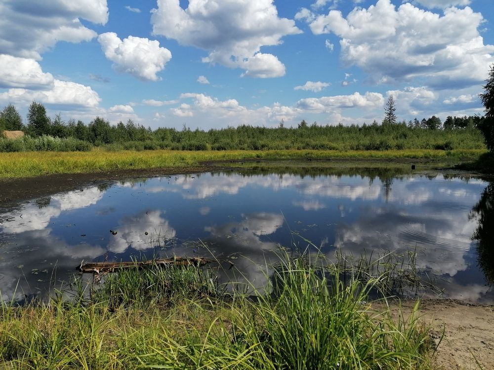 Photograph by Анастасия Прейс