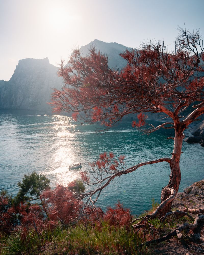 Photograph by Александр Соколов