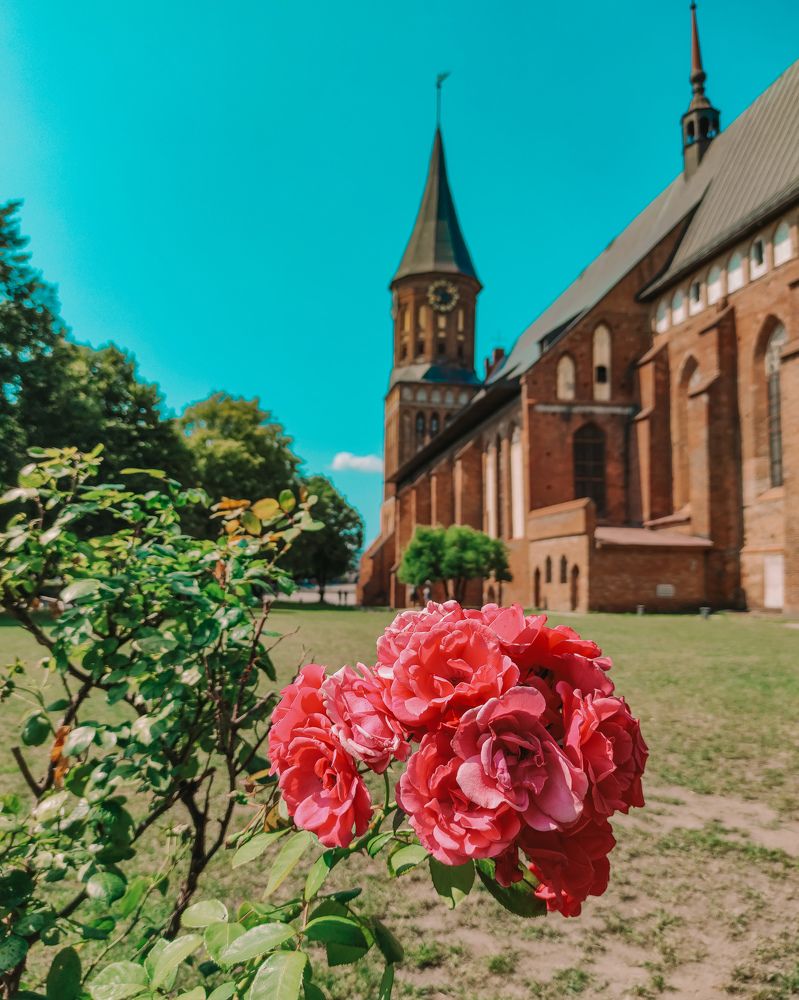 Photograph by Nastуa Lapa