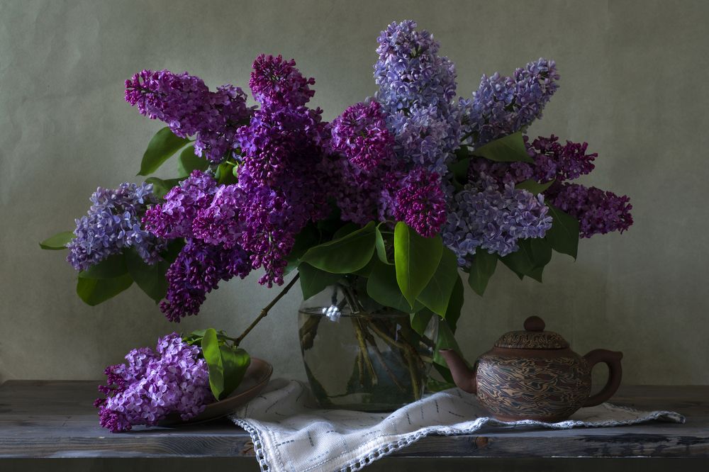 Photograph by Елена Мустафина