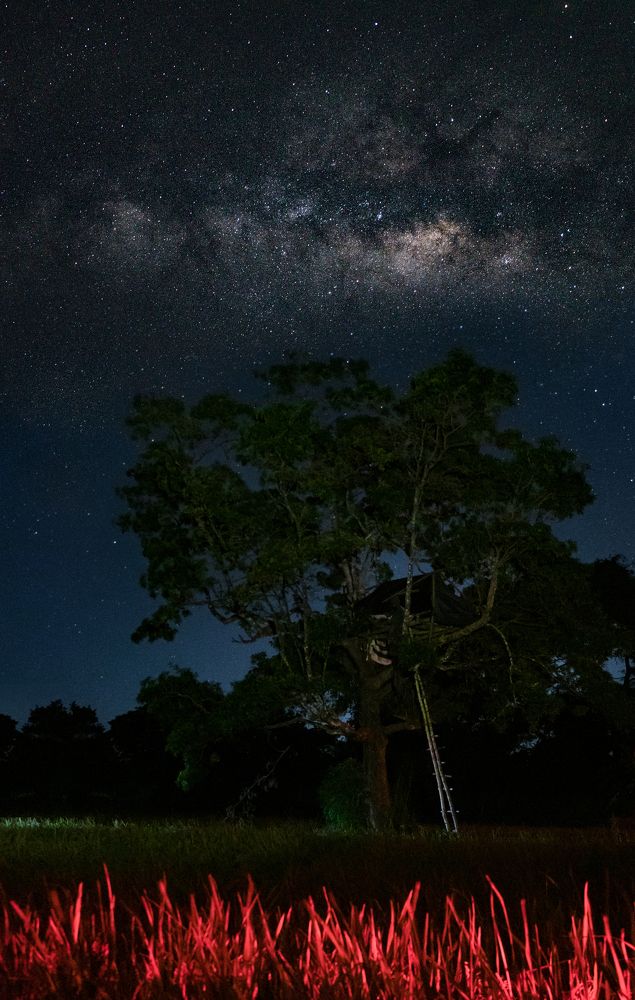 Photograph by Kanishka Jeewantha