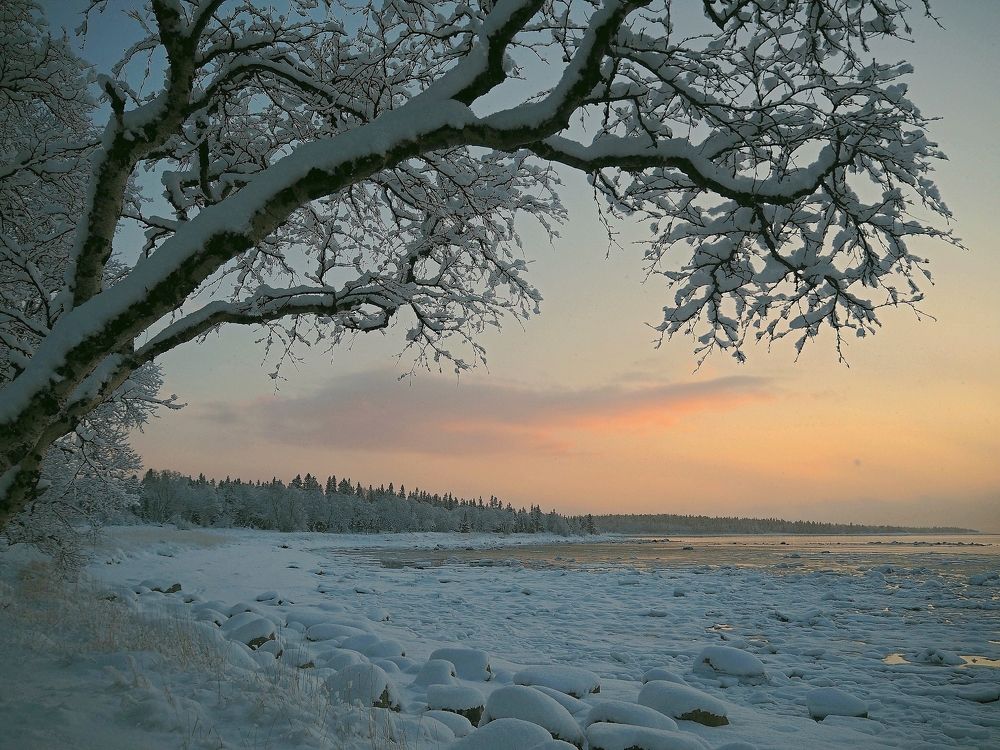 Photograph by Евгений Яковлев