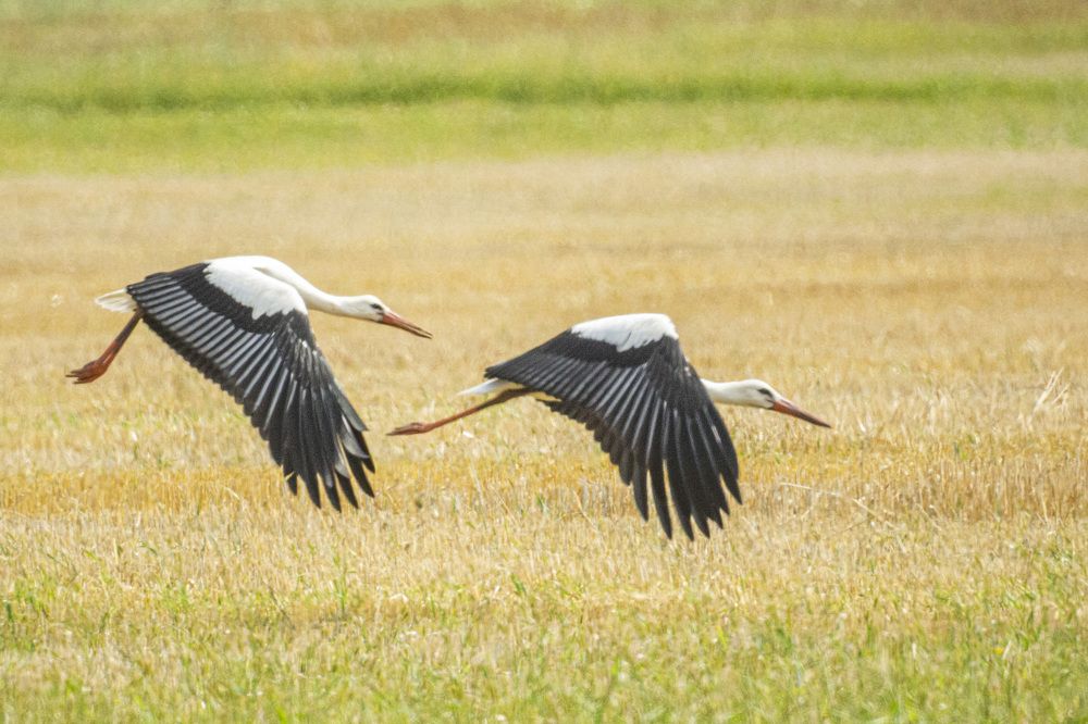 Photograph by Алексей Борисов