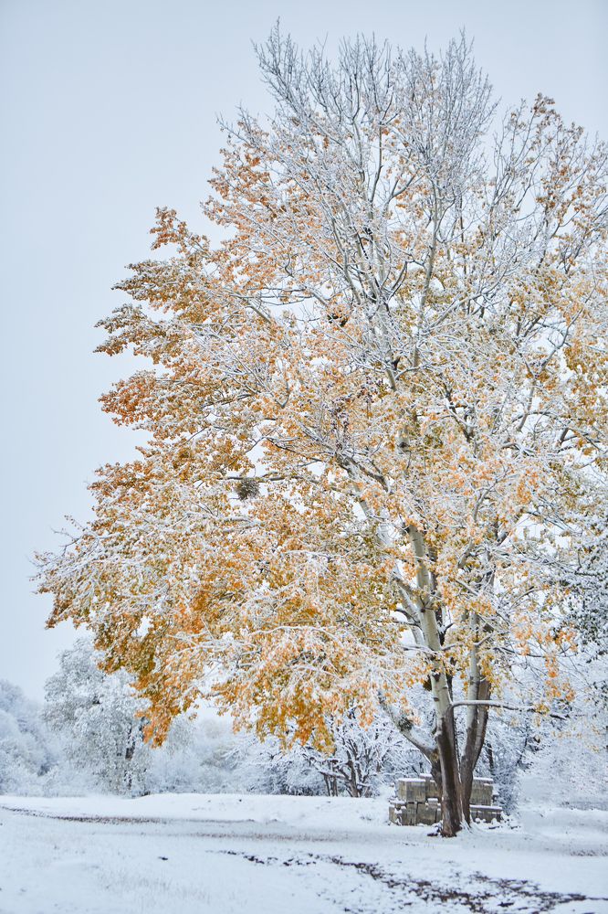 Photograph by Наталия Кирсанова