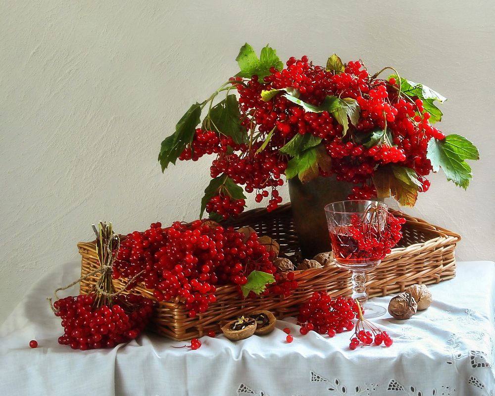 Душа моя-калина...