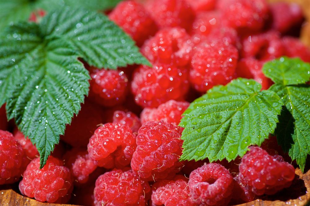 Photograph by Наталия Кирсанова