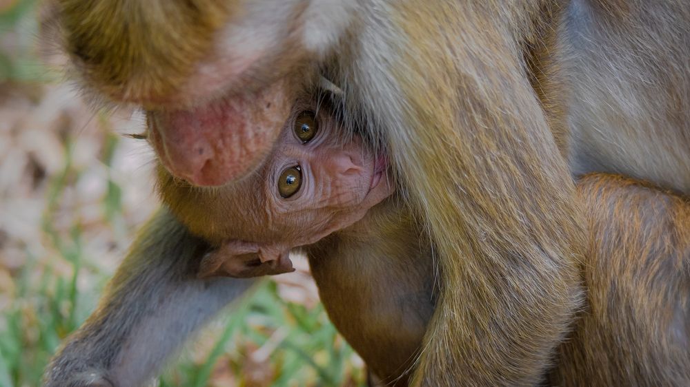 Photograph by Mohamed Raseem