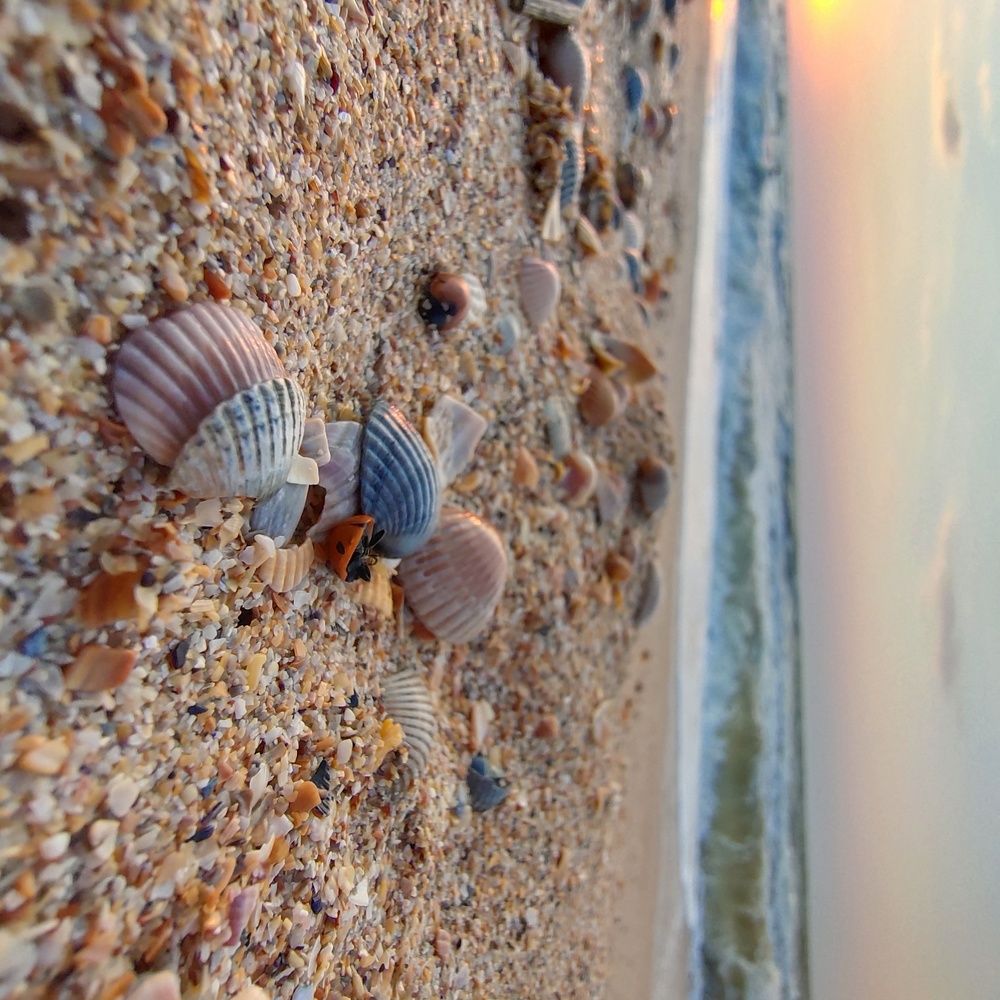 Photograph by Анна Пушкова