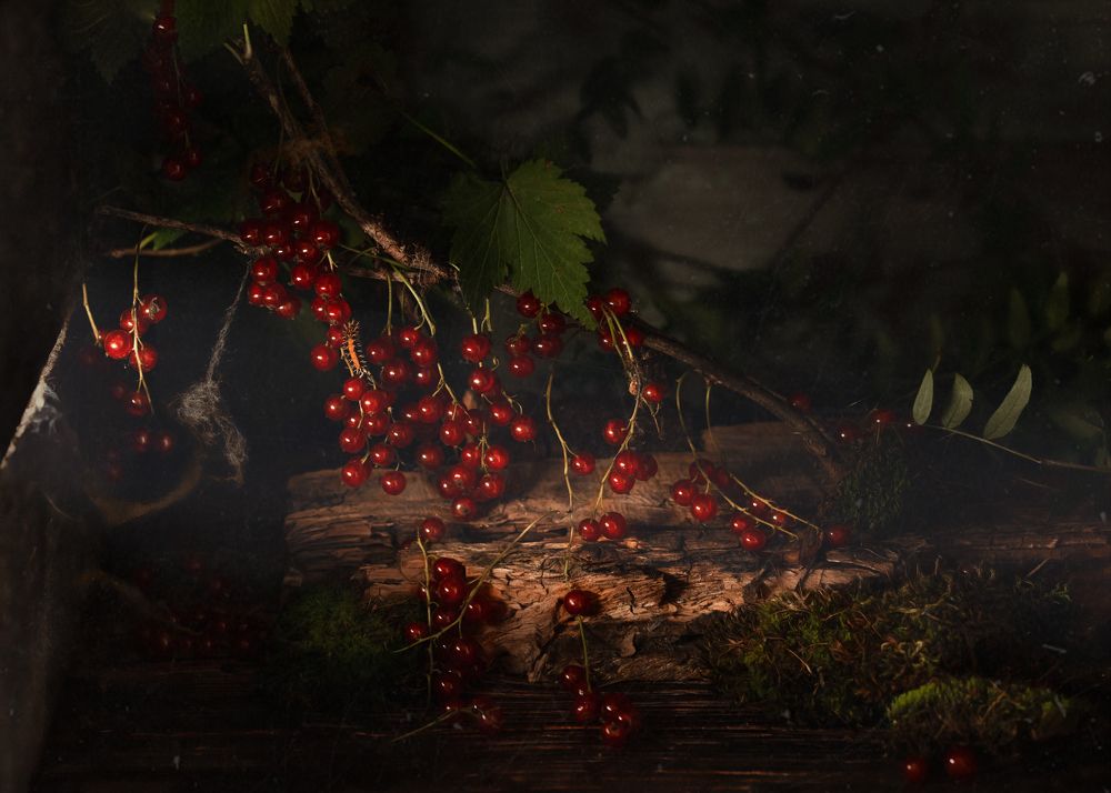 Photograph by Наталия Поникарова