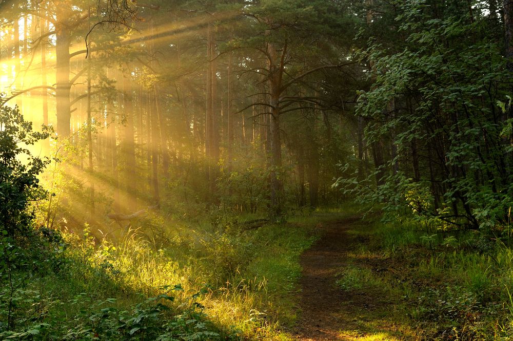 Photograph by Павел Фёдоров