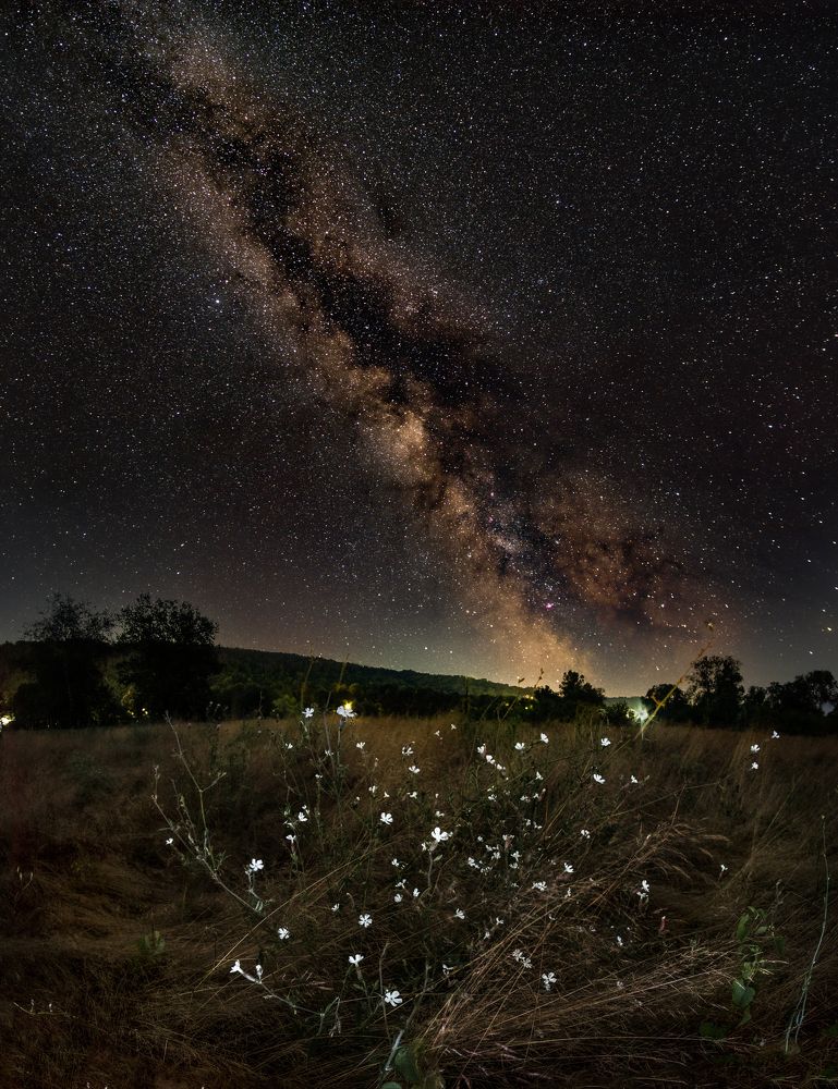 Photograph by Давид Галкин