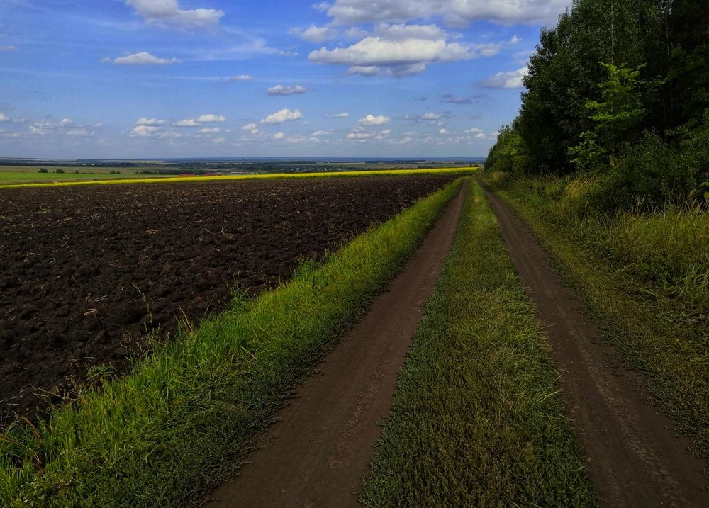 Сельская дорога