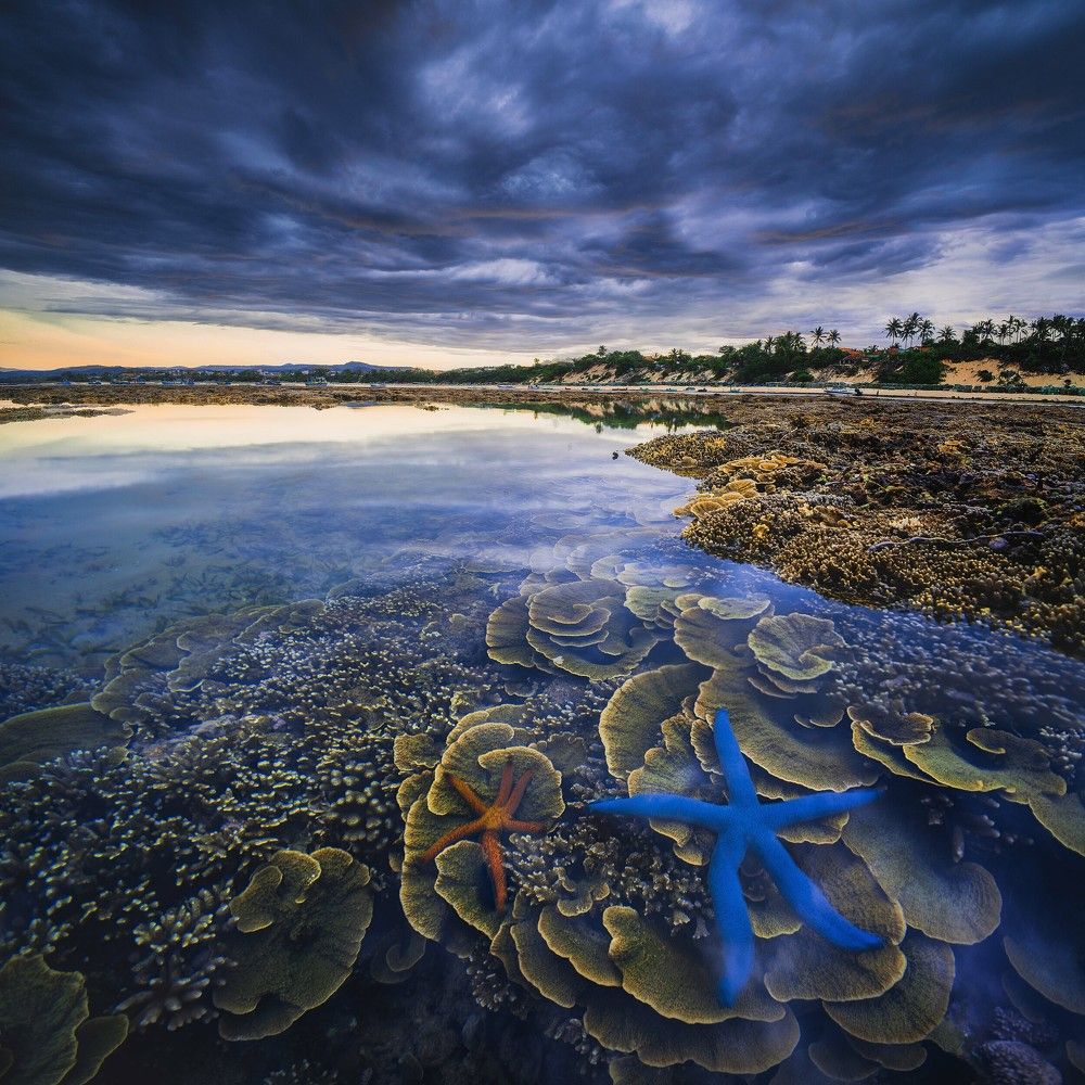 Photograph by Truong Hoai Vu